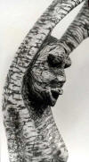 LS6806 Lucas SITHOLE "Snake dancer", 1968 - Apricot wood - close-up