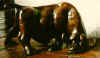 LS7002 Lucas SITHOLE "Wounded Buffalo" 1970 Liquid steel 042x075x050 cm