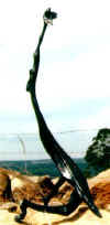 LS8105 Lucas SITHOLE "Dancing mantis" 1981 Tambotie 153x070x062 cm (Coll. UNISA, Pretoria, SA)