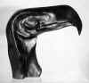 LS8701 Lucas SITHOLE "Eagle's head" 1987 Zulu indigenous wood 048x053x031 cm (Coll. SASOL H/Office Johannesburg)