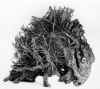 LS8913 Lucas SITHOLE "Bison" (right side) + "Lion making a kill" (left side) 1989 Swazi root forms 068x074x026 cm